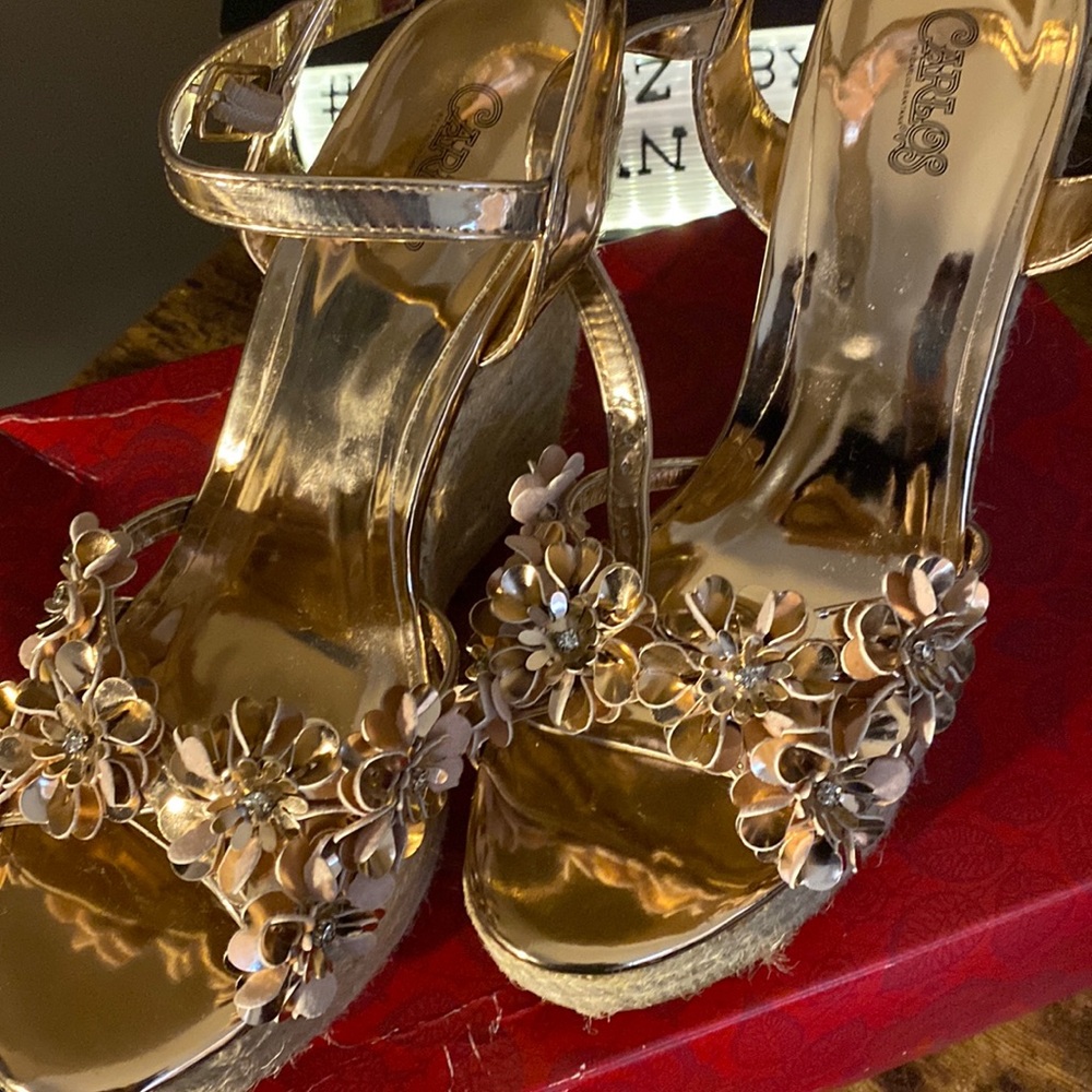 Carlos by Carlos Santana Rose Gold Wedges